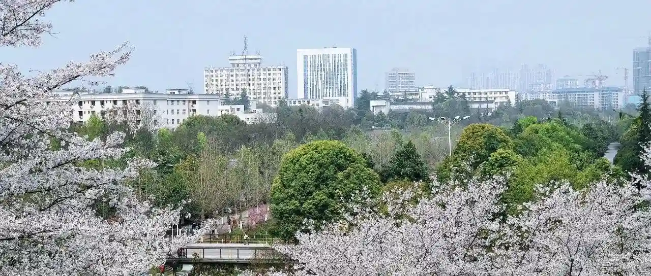 三峡大学2025年硕士研究生复试工作方案