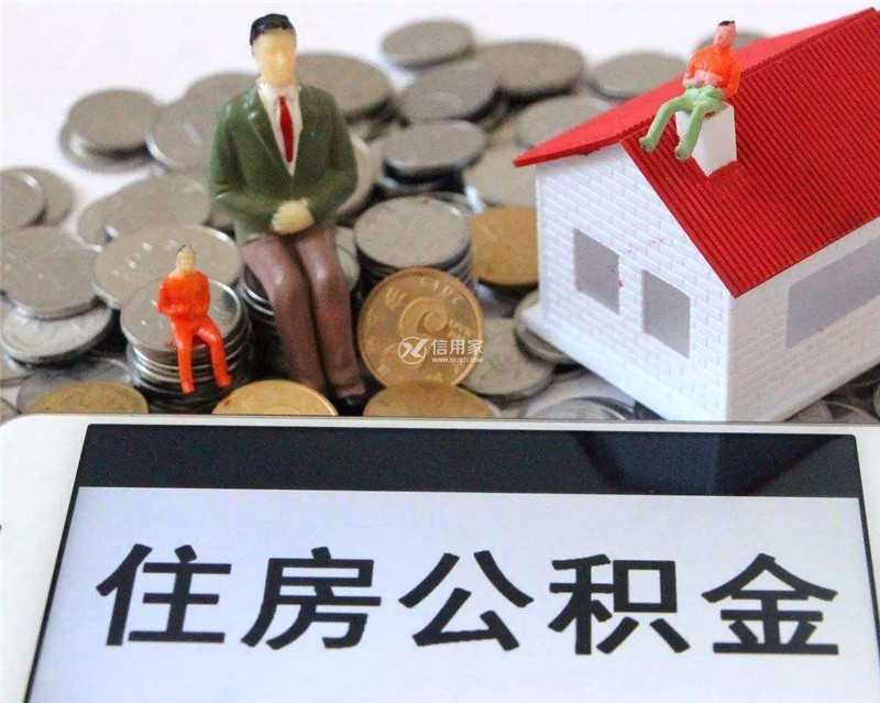 “公司+合作社+农户”模式 万亩花椒助脱贫