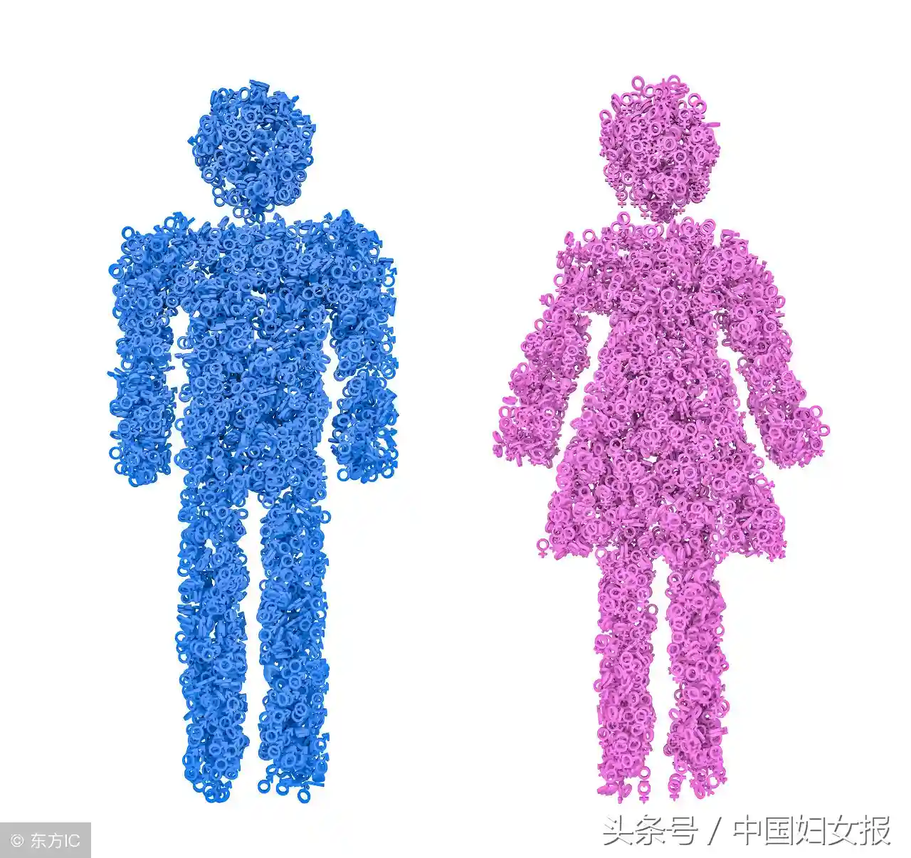 分性别统计：为推进性别平等提供科学依据